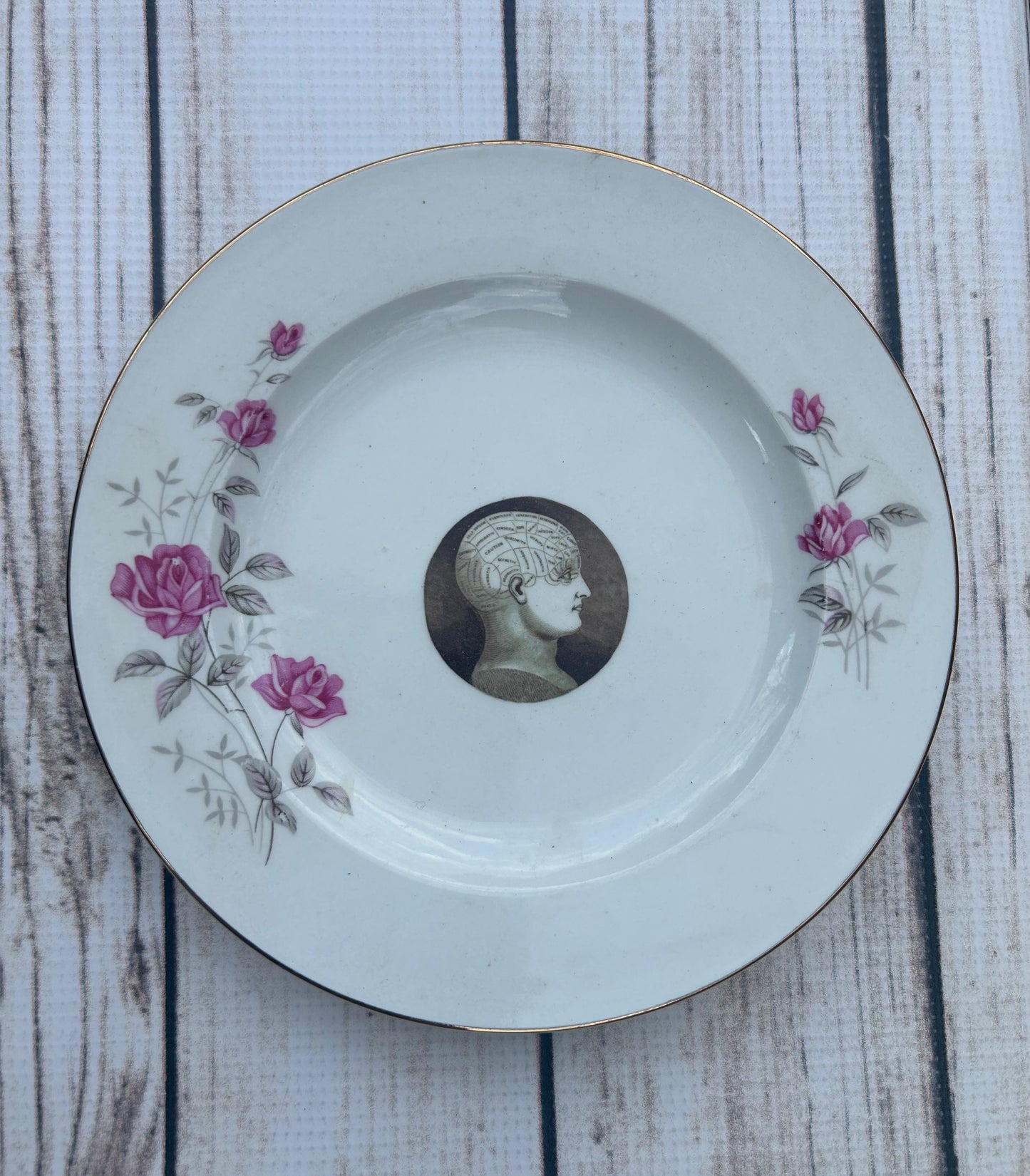 Upcycled China Phrenology