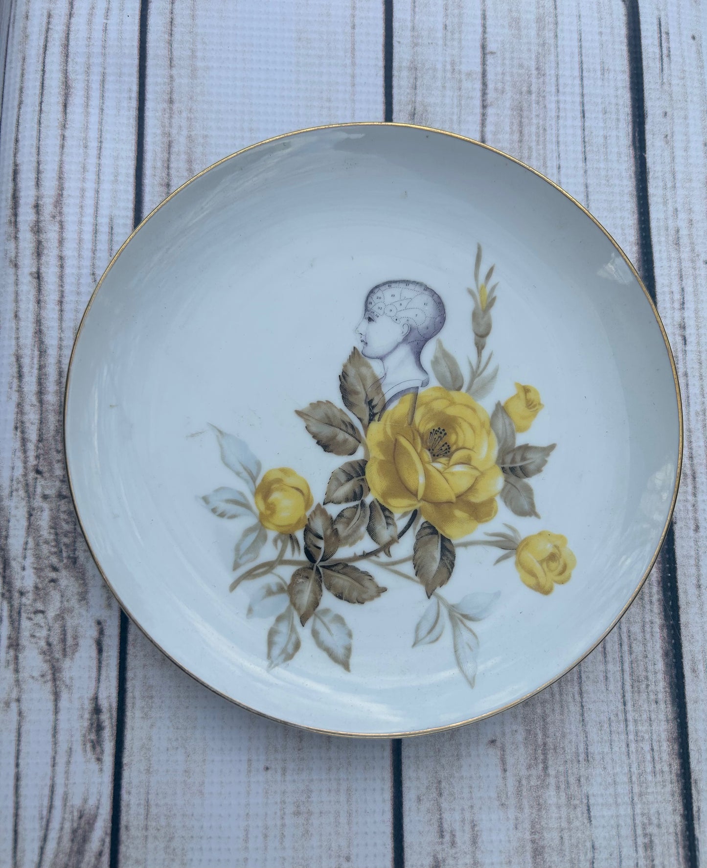 Upcycled China Phrenology