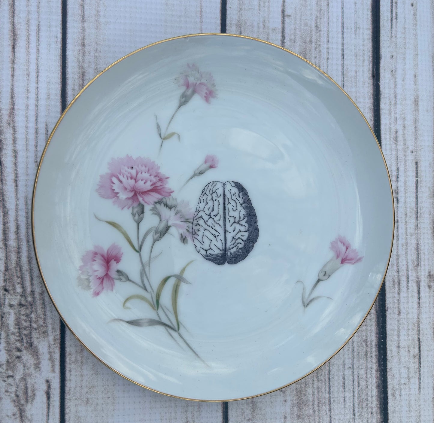 Upcycled China Brain